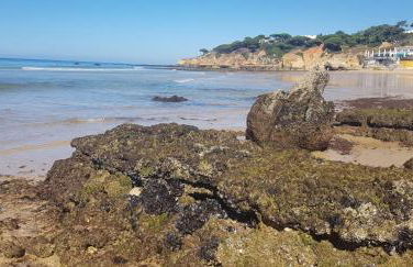 Casa da Praia - Foto 49