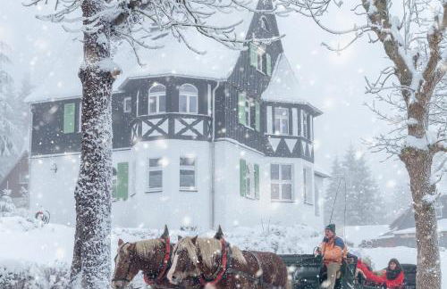 Ahornallee - Erzgebirge - Foto 29