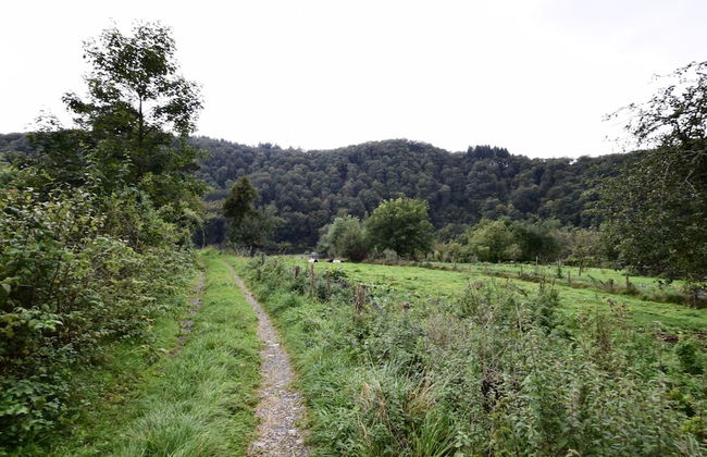 Lovely Holiday Home In Frahan With Terrace - Photo 28