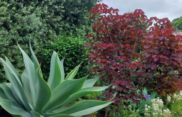 Sítio da Assumada - Foto 37