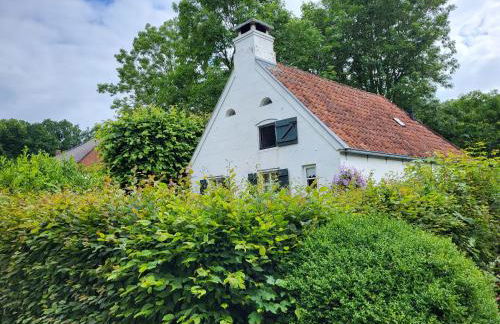 Klaras Huuske - Foto 27