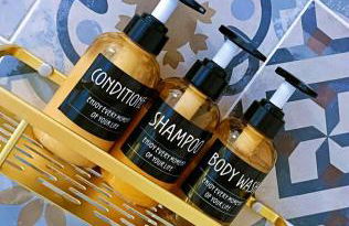 Au Petit Trianon Bleu - Foto 40