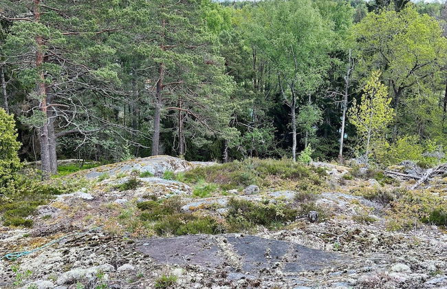 4 Person Holiday Home in Stavsnas-by Traum - Foto 10