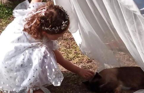 Vale da Silva Villas - Quinta - Foto 30