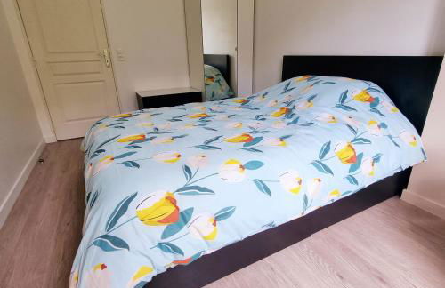 T2 Paris Disneyland Jardin Parking - Foto 10