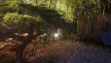 Disneyland Paris house for 6 people - Foto 2