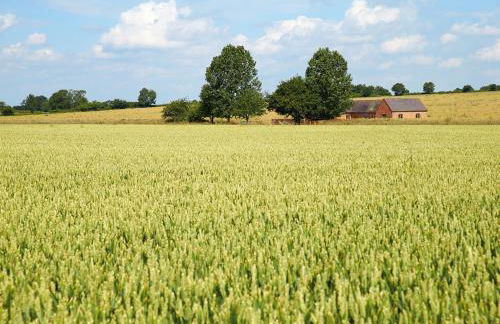 Furlong Barn - Foto 17