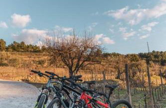 Quinta da Moita Agroturismo - Foto 113