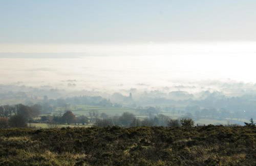 The Little Beehive - Photo 37