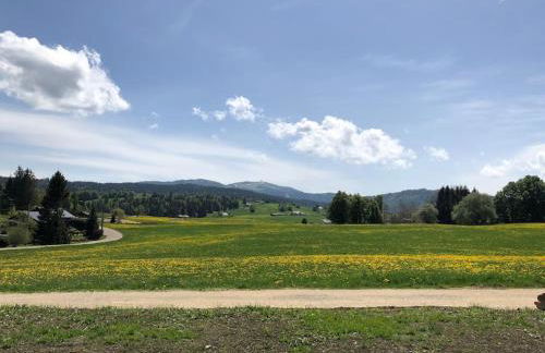 Unique ! Chalet Grand Standing, la Nature pour vis à vis - Foto 14