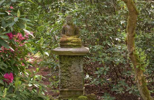 Delightful Chalet in Opglabbeek near Lake - Foto 25