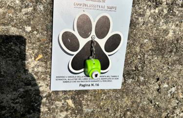 Valtellinda - Foto 51