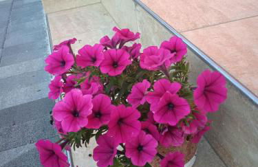 Ca' Giorgio - Foto 25