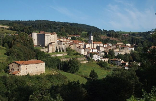 Château des Marcilly Talaru - Foto 52