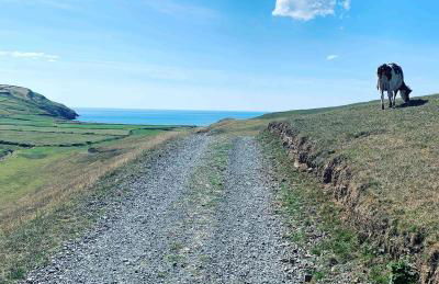 2 Bed Cottage Abersoch - close to beach and village - Pet Free - Foto 26