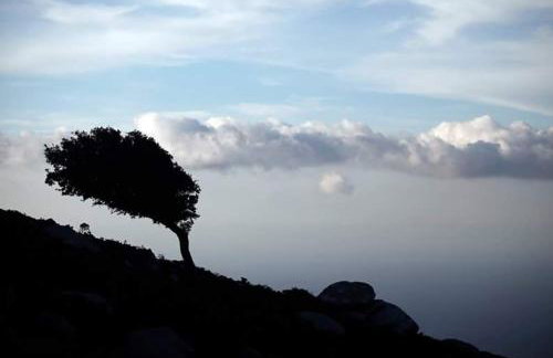 Ikaria Studios - Photo 54