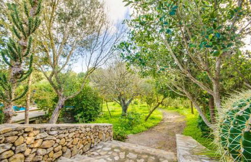 Higo Chumbo - Photo 25