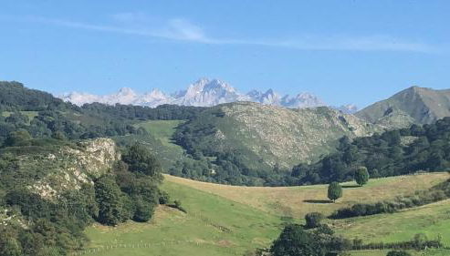 Apartamentos La Guertina - Foto 4