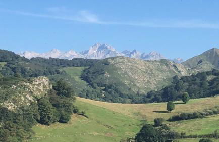 Apartamentos La Guertina - Foto 4