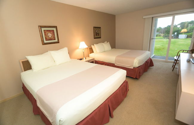 The Grey Gull - Foto 8