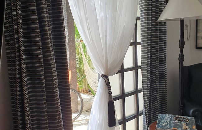 Andorinhas - Foto 37