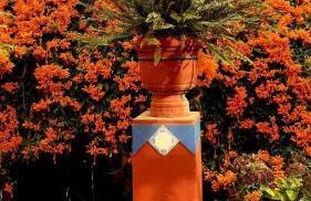 Finca La Principal - Foto 81