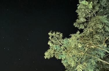 Chalé da Conquista - Foto 11