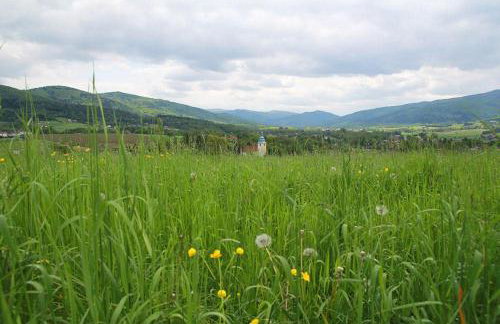 Hvile, gmina Brenna - BESKIDY - Foto 37