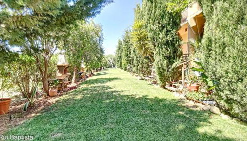 Arrancada 14 - Foto 3