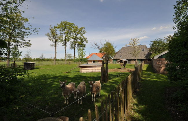 Stylish Farmhouse With Private Garden and Sauna - Foto 17