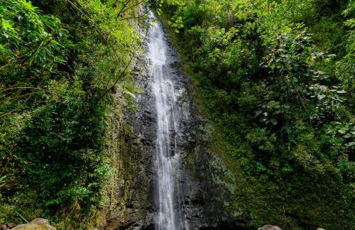 36Fl with Ocean View, Mins to Waikiki Beach, Parking - Foto 138