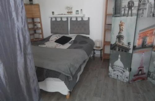 tiny house indépendante climatisée - Foto 8