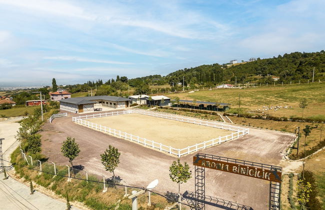 Aronia Bungalow - Photo 58