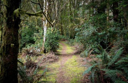 The A-Frame - Foto 32