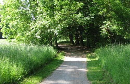 Altstadtapartment - Foto 36