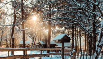 Eifelhüttchen Blaumeise - Foto 2