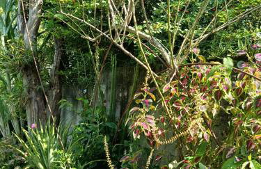 Refúgio Sereno São Seba - Foto 11