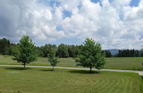 Landhaus Friedl - Foto 33