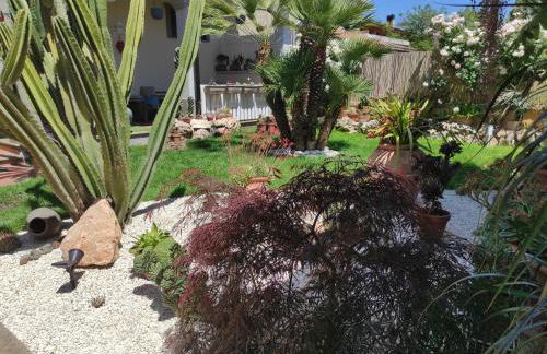 Cactus house - Foto 49