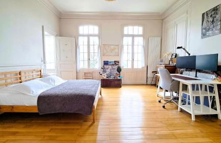 Appartement tout confort, jardin, dans un Manoir au Sud de Tours - Foto 17