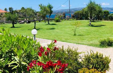 Aloni Studios and Apartments - Photo 4