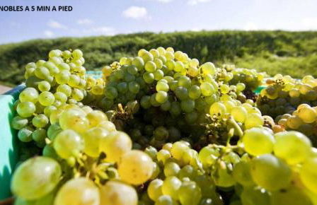 Maison de charme avec Jacuzzi - Foto 34