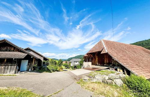 Apartment Kinast - HFT202 by Interhome - Foto 141