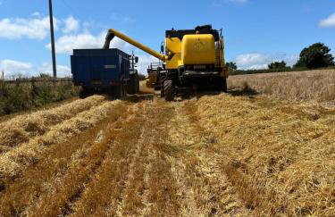 Lower Thornton Farm - Foto 17