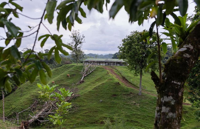 La Finca Azul - Foto 50