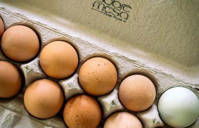 Historic Converted Barn Loft at Sobremesa Farm - Foto 28