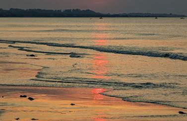 Ocean front home on dunes of Wingaersheek Beach - Photo 74