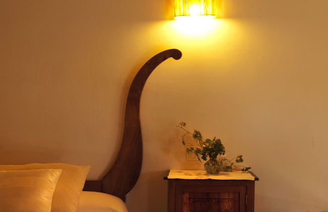 Finca El Cabezo - Photo 3