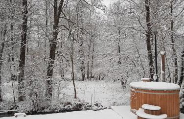 Vodenica Vrelo Chalets - Foto 18