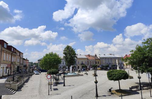 Apartament Deluxe w centrum Brzeska nr 2 - Photo 38